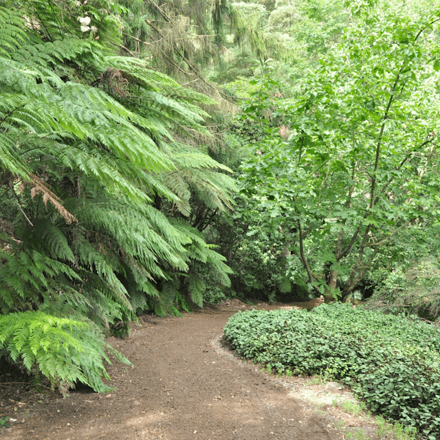 Pirianda Garden