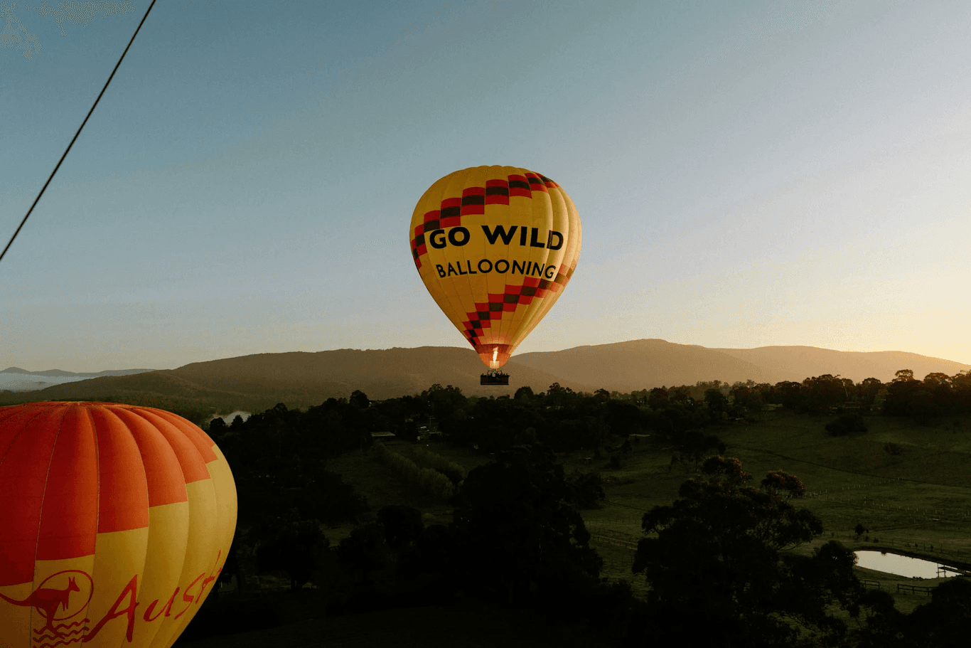 Go Wild Ballooning