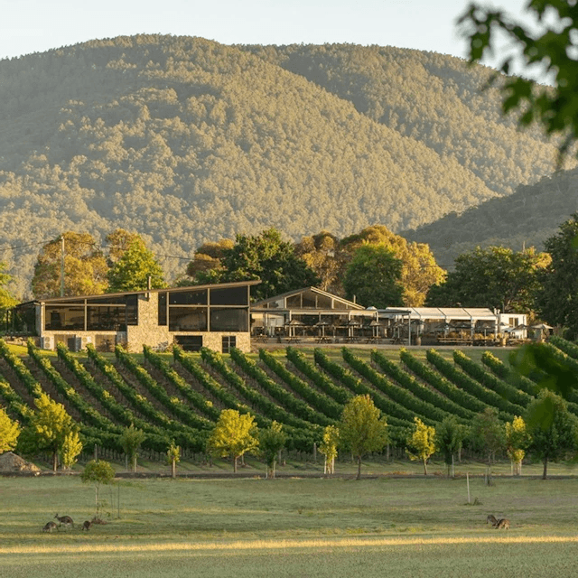 Boat O'Craigo Wines