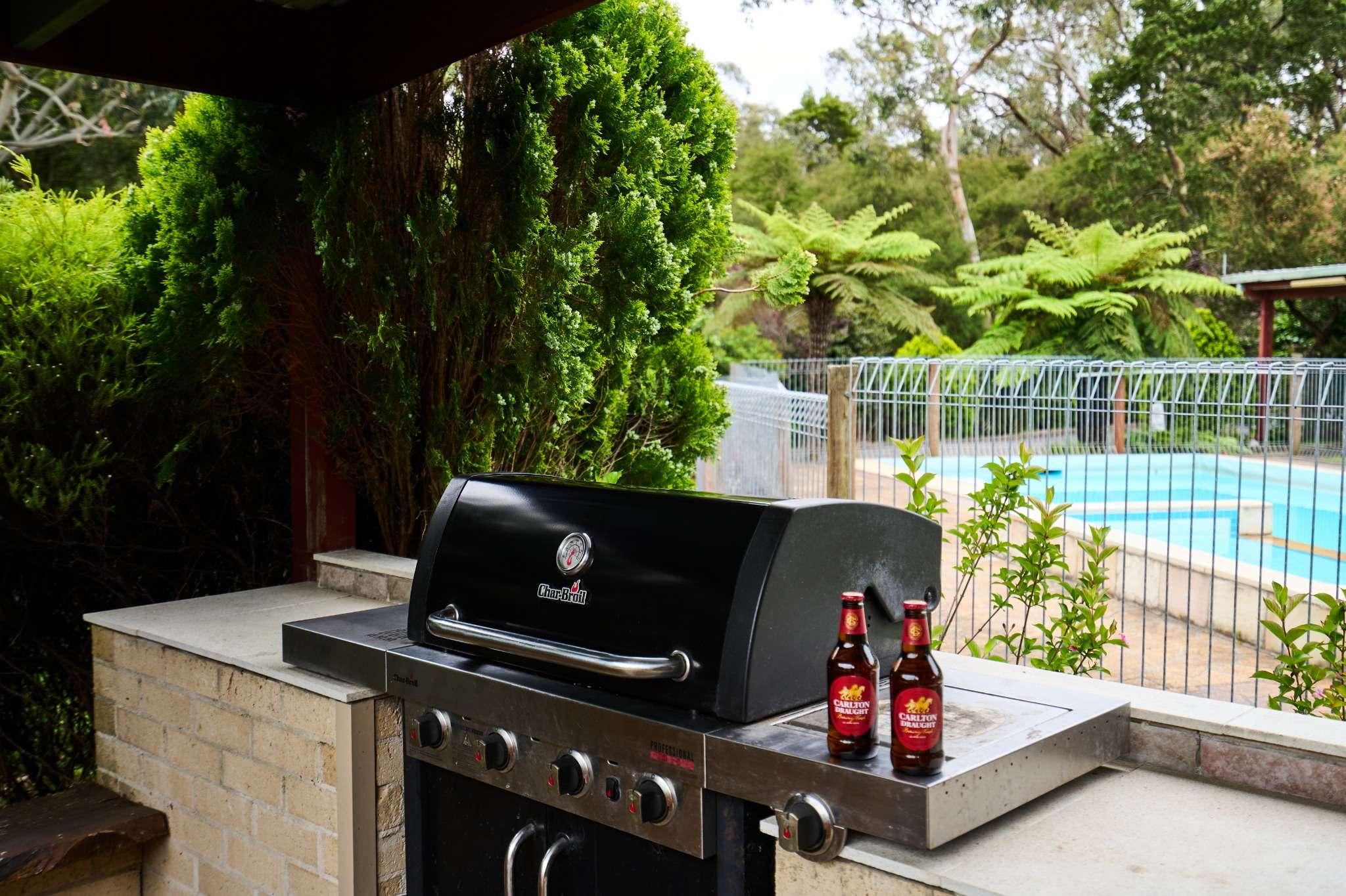 Gazebo and barbecue area